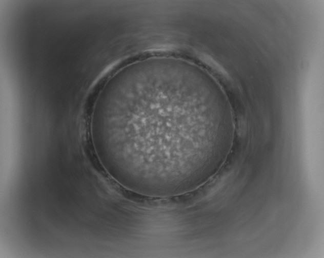 X0000114421208200910231159