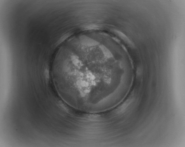 X0000114421209200910231159