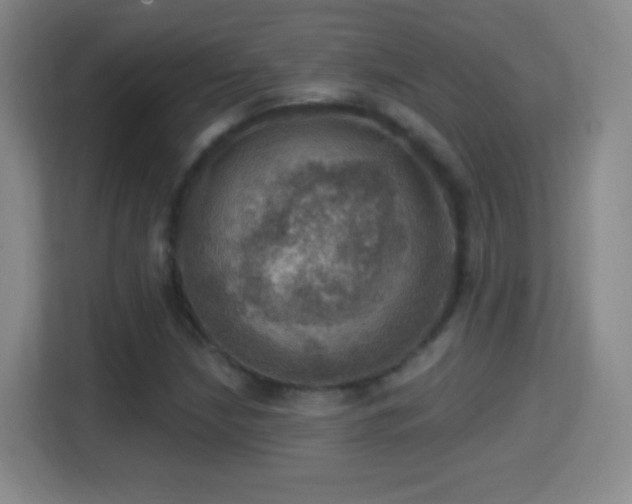 X0000114421210200910231159