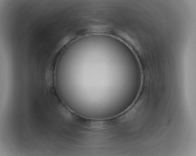 X0000114421211200910231159