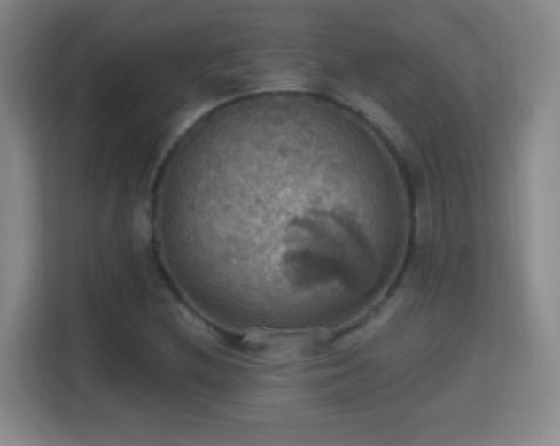 X0000114421212200910231159