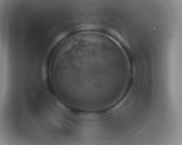 X0000114421213200910231159