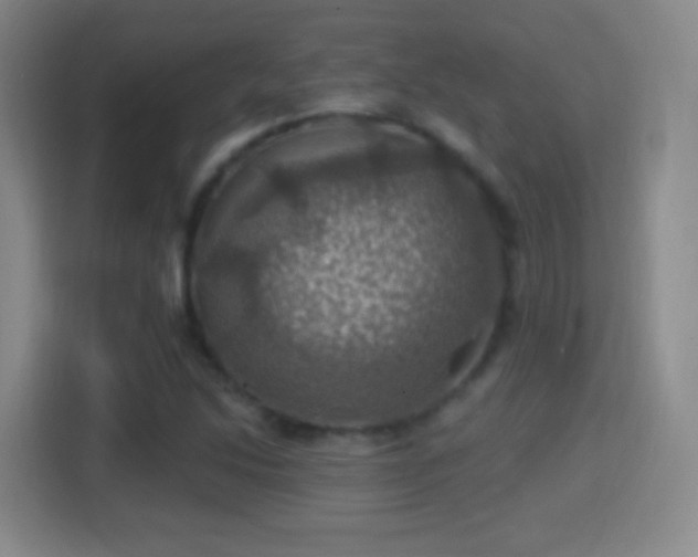 X0000114421214200910231159