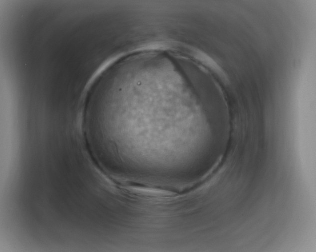 X0000114421216200910231159