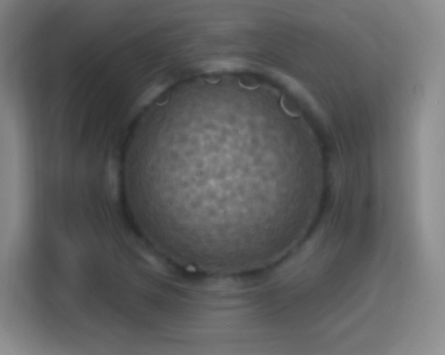 X0000114421217200910231159