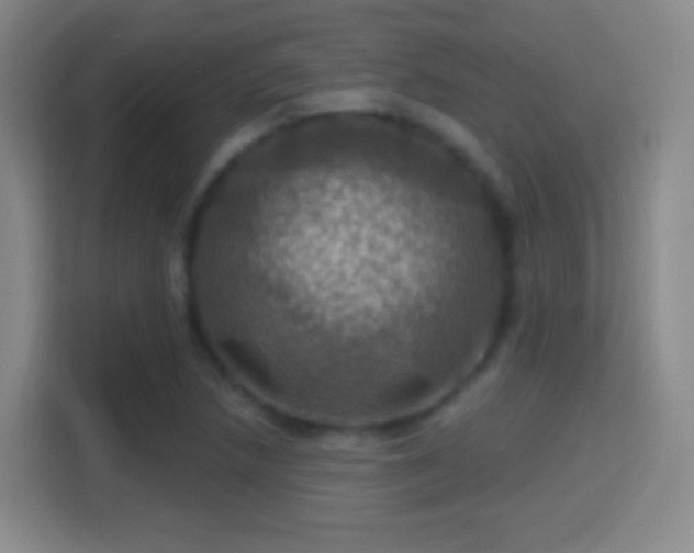X0000114421218200910231159