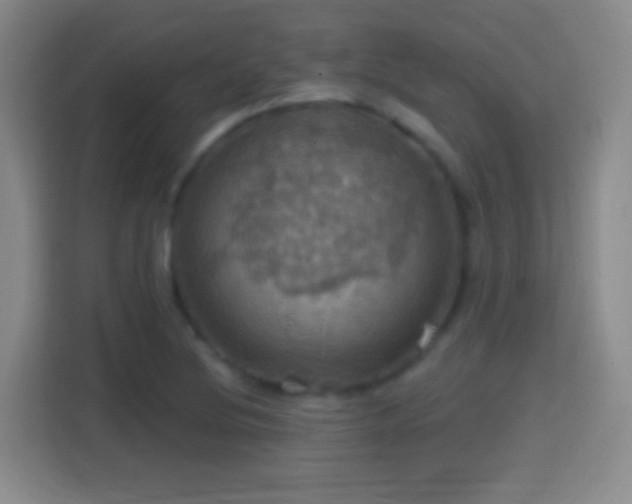 X0000114421220200910231159