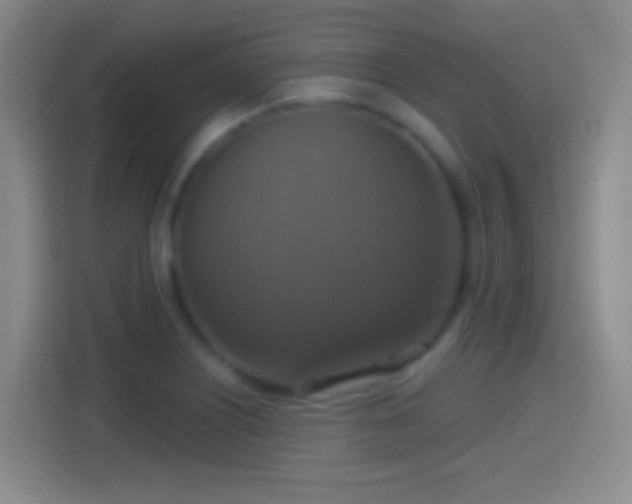 X0000114421226200910231159