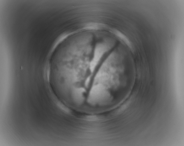 X0000114421227200910231159