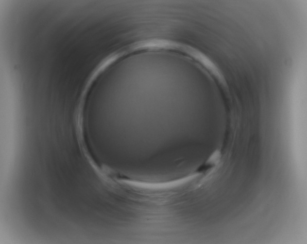 X0000114421229200910231159