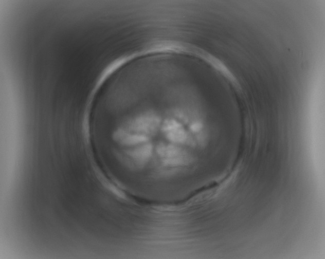 X0000114421230200910231159