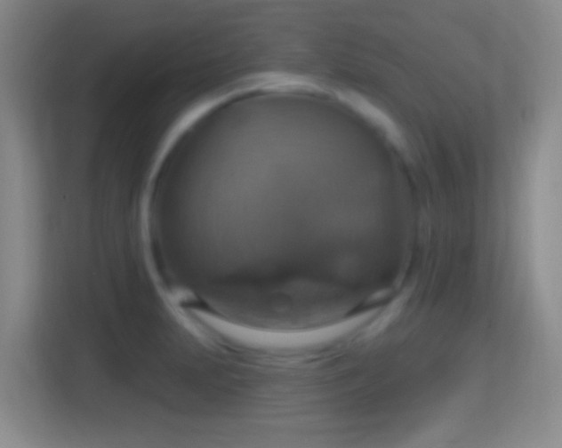 X0000114421231200910231159