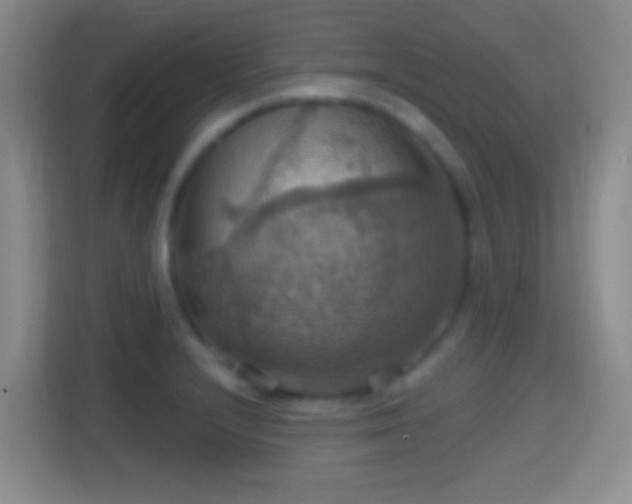 X0000114421232200910231200
