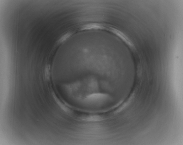 X0000114421233200910231200