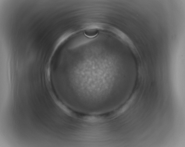 X0000114421234200910231200