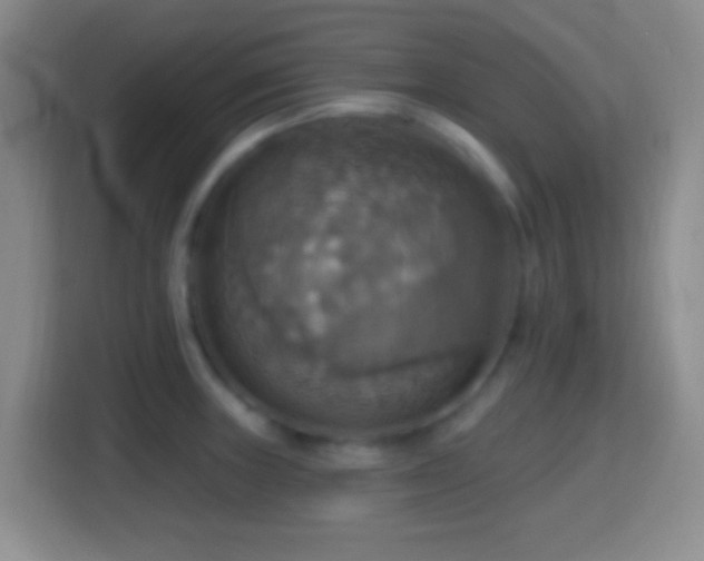 X0000114421235200910231200