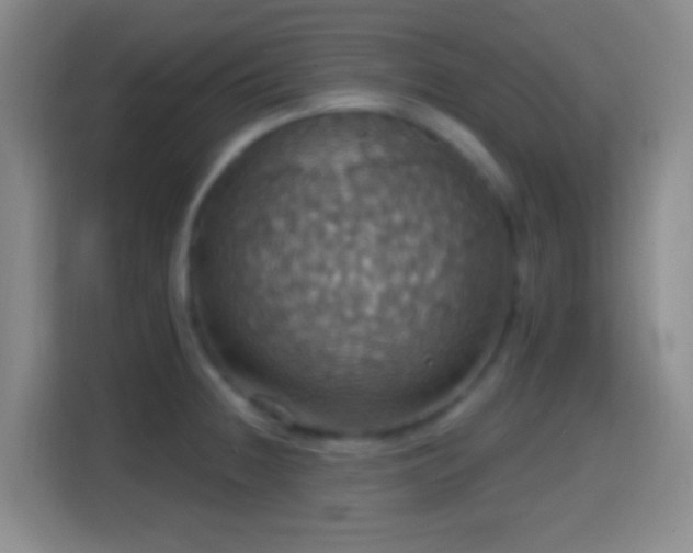 X0000114421236200910231200