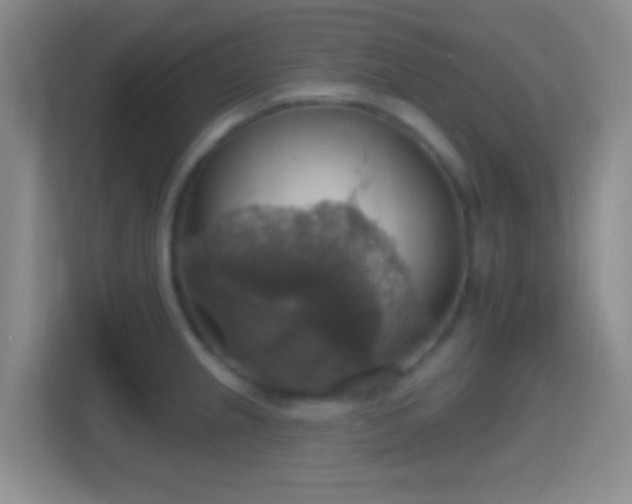X0000114421237200910231200