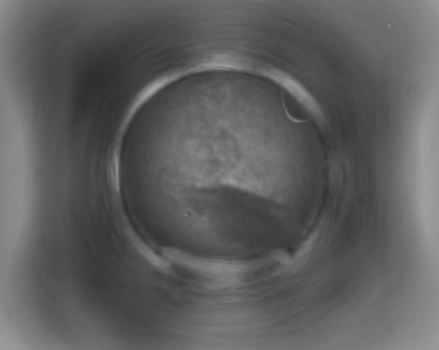 X0000114421238200910231200