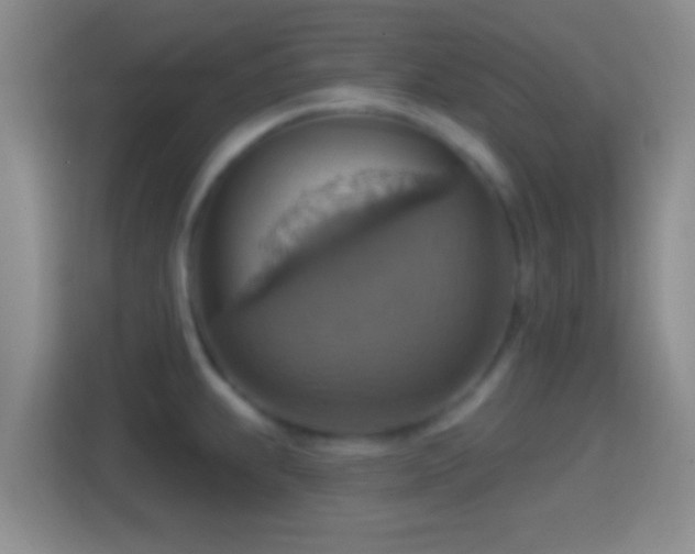 X0000114421239200910231200