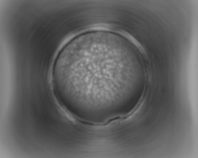 X0000114421240200910231200