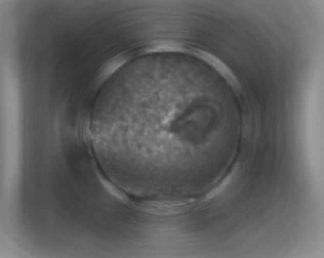 X0000114421241200910231200