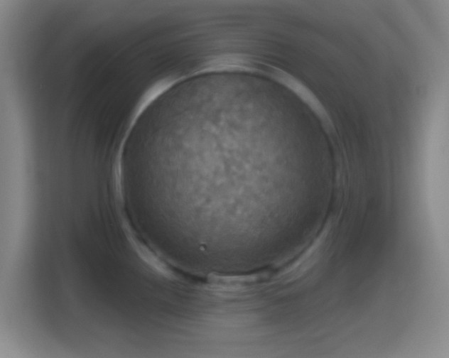 X0000114421242200910231200