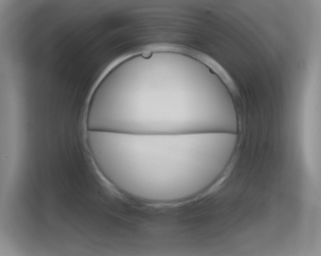 X0000114421244200910231200