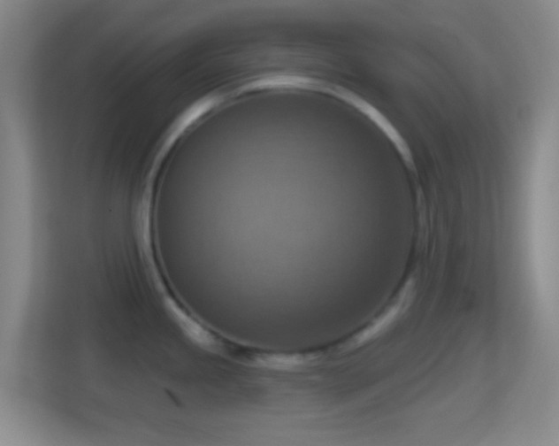 X0000114421245200910231200