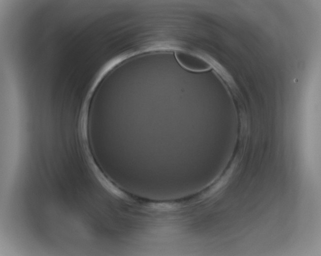 X0000114421246200910231200