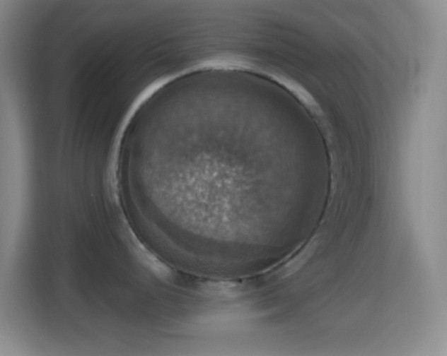 X0000114421248200910231200