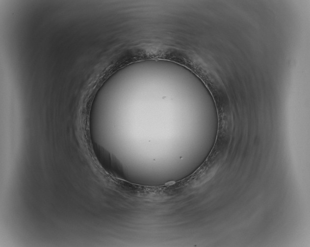 X0000114421249200910231159