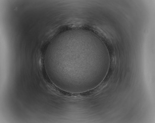 X0000114421250200910231159