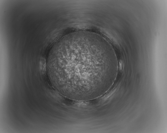 X0000114421251200910231159