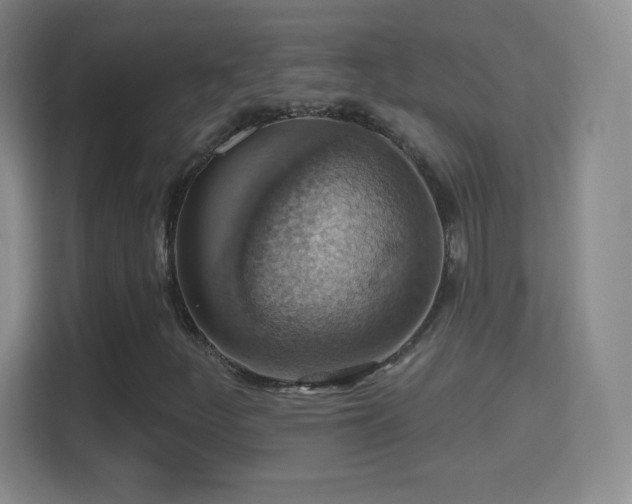 X0000114421252200910231159