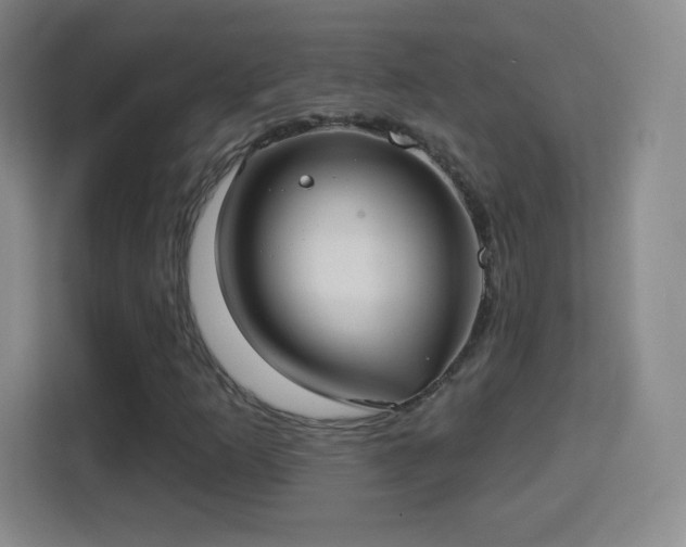 X0000114421253200910231159