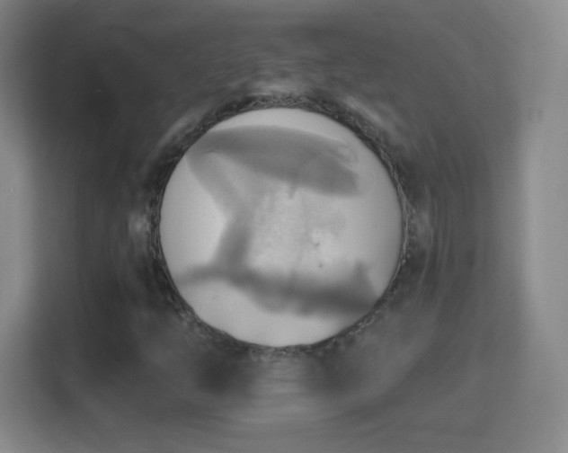 X0000114421254200910231159