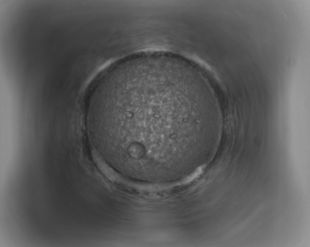 X0000114421255200910231159