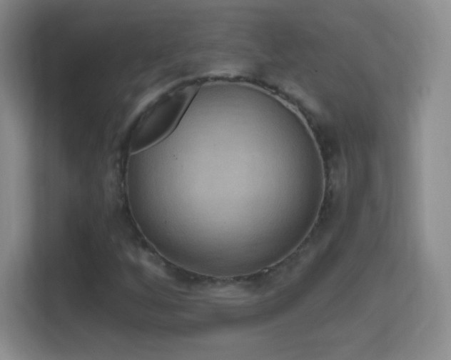 X0000114421256200910231159