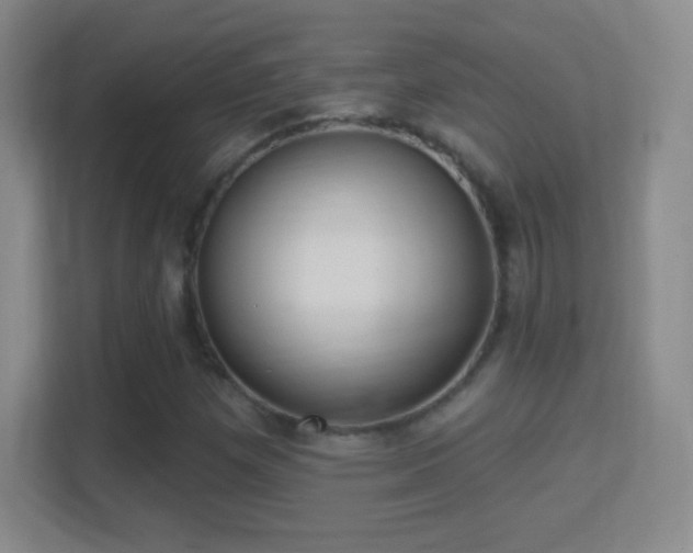 X0000114421257200910231159
