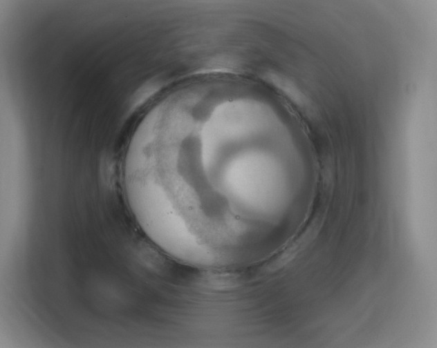 X0000114421258200910231159