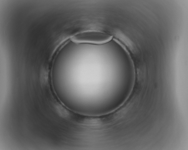 X0000114421260200910231159
