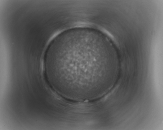 X0000114421267200910231159