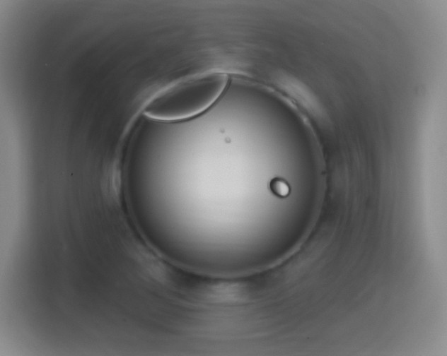 X0000114421268200910231159