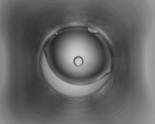 X0000114421269200910231159