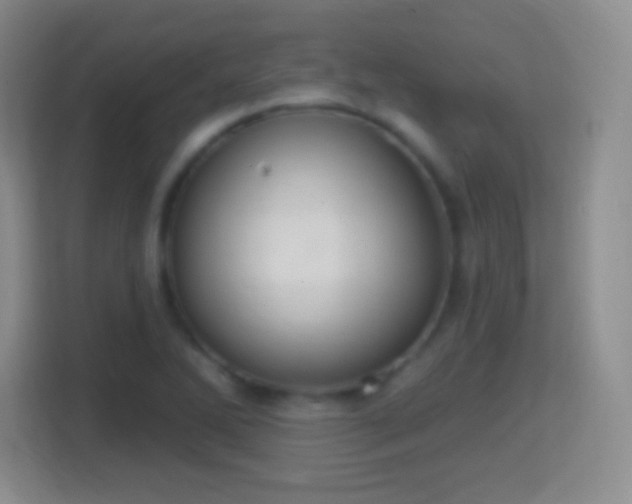 X0000114421270200910231159