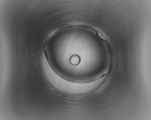 X0000114421273200910231159