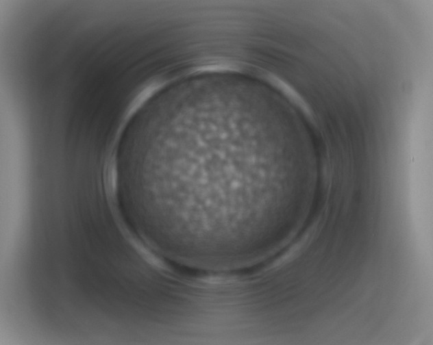 X0000114421274200910231159