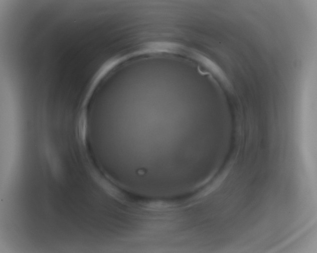 X0000114421275200910231159