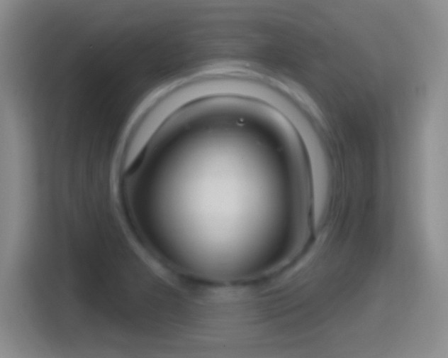 X0000114421277200910231159